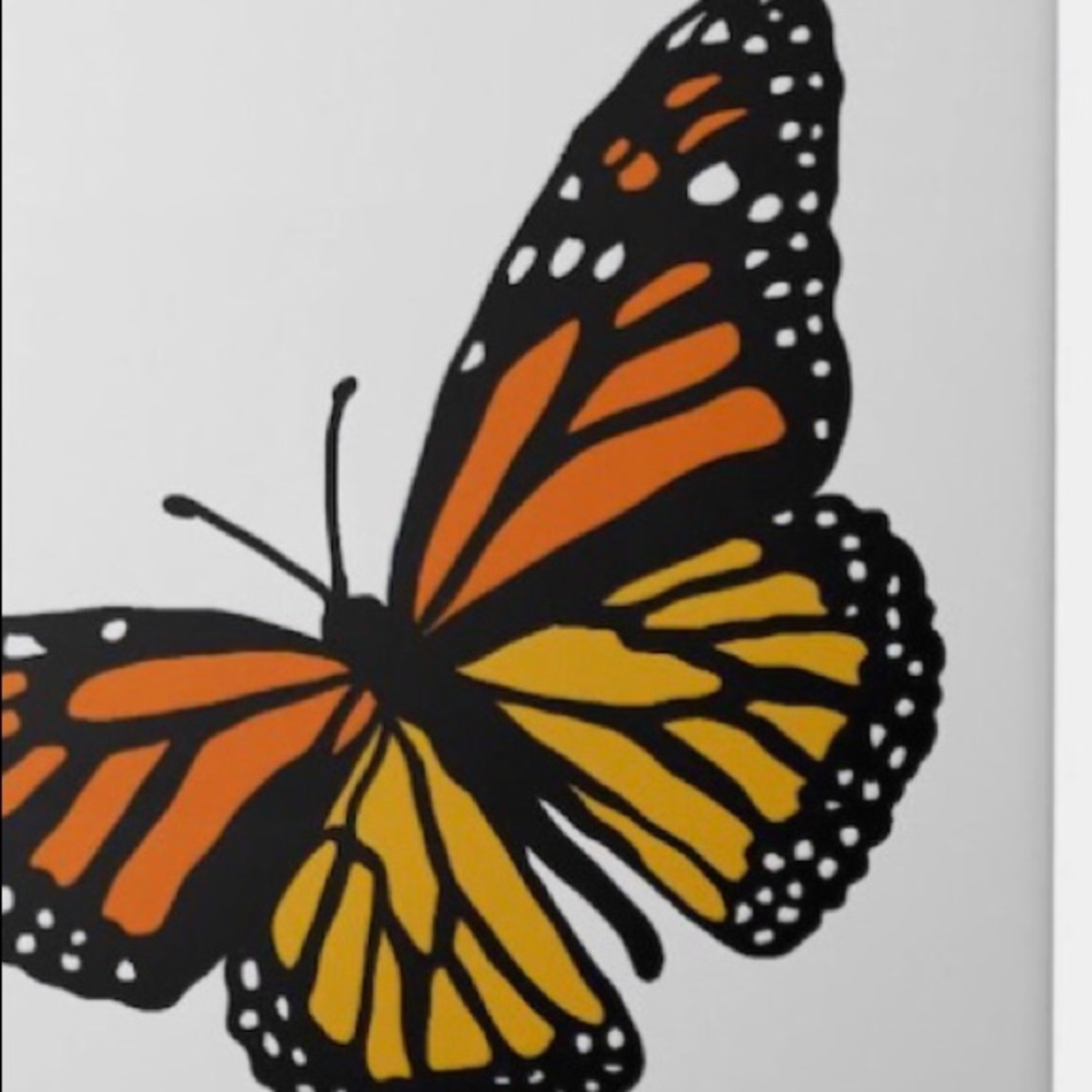 Meet your Posher, Hailey